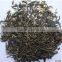 Jasmine Tea