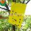weather condition yellow sticky hanging mosquito ,fly ,insects plastic glue trap