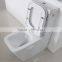 European standard wash down two piece toilet button dual/toilet bowl B2051A