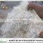 Newly type fine wood wool machine on sale