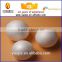 Yiwu white styrofoam plastic ball pit balls