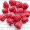 Market Price for Frozen Dried FD Strawberry Whole Piece for Sales