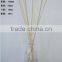 Different Size & Shape For Choice Clear & Sprayed Color Glass Diffuser Bottle