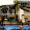MY Dino-C042 1:1 scale museum dinosaur skeleton for sale