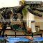 MY Dino-C018 Museum large dinosaur skeleton model