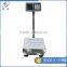 full Stainless Steel Electronic Price Folding Platform Scale Seafood-market Scale