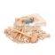 Deluxe Authentic Plant Leaf Fossils Dig Kit