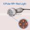 Weiight Loss!!! Vacuum Cavitation Fast Cavitation Slimming System RF/Cavitation Slimming Machine With CE Rf And Cavitation Slimming Machine