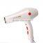 Home use Powerful Hair Dryer for Home use