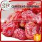 Fresh preserved dried cherry tomatoes for sale