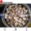 Grade A/ B /C Hebei Frozen roasted chestnuts