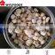 Bulk Frozen Peeled Chestnuts for sale