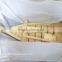 Japanese Restaurant Unique Type Wooden/bambooSushi Serving Boat