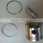 Spare Parts Complete Piston with Rings for SOLO Port 423 Gasoline Sprayer