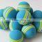 Golf Practice Balls Rainbow Sponge Foam Ball Training