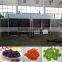 No damage apple chips dryer/apple slices drying oven with low temperature