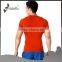 Custom T-Shirt,T Shirt,Man Blank T Shirt Wholesale China