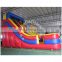 Giant Double Lane Inflatable Slide Bouncer
