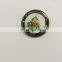 custom lapel pin with a butterfly clutch covered with resin in soft enamel or off-set made in round or rectangle or square shape