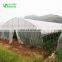 Mini Tunnel Greenhouse