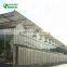 Low cost commercial  agricultural best products glass greenhouse
