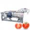China factory featured product industrial air bubble green pepper chili carrot washing cleaning machine