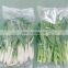 Factory direct selling Leek celery flow pillow bag packaging machine