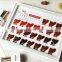15ML Roma Legend New Arrival  Red Color Collection UV Gel Polish Kit