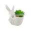 Mini Home Decor Cute Rabbit Bunny Easter Head Ceramic Flower Plant Succulent Planters