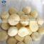 Sinocharm BRC A Certified Crisp Nutrient-rich IQF Water Chestnut Frozen Peeled Whole Water Chestnut