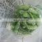 Wholesale high quality IQF frozen green edamame soy bean to korea