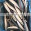 china sea frozen mackerel fish frozen pacific mackerel fish price whole round