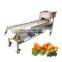 Commerical Passion Fruit Processing Avocado Onion Size Grading Sorting Machine.