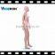 window display full body realistic fiberglass mannequin girl/child/kids