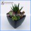 Home decorative Artificial mixed Mini succulent plant pvc potted succulent plant with different styles