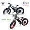 26inch Fat Electric Bicycle China Mountain Electric Bike EN15194 EN14764 Accept OEM