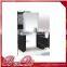 LED Barber Shop Hair Salon Mirror Station, Makeup Dresser with Mirror, No Switch One-way Mirror Glass