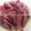 New crop dried red chili
