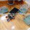 plant tray/plant tray wholesale