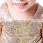 wholesale Children Summer Girl Dresses With Sequin Glitter TuTu Dress Girls Lace Frocks Sequins Dress
