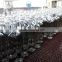 wholesale 500ml empty glass coconut olive bottles manufacturer
