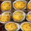 100 % PE New material fruit foam package net