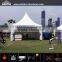 Outdoor gazebo tents accessories canopy tent for Car show in China
