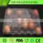 Thermoforming blister disposable plastic clear cheap egg trays