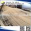 Automatic Straight Rice Vermicelli Making Machine/ Straight Rice Noodle Making Machine