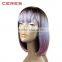 New Arrival Omber Pink Synthetic Hair Wig Bob Wig for Black Women