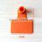 orange pig ear tag