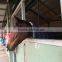Portable PSA nitrogen generator for hypoxia training,CE,ISO,SGS,China