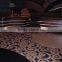 Shenzhen carpet manufacturer/hotel carpet