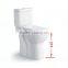 Ceramic Washdown Two Piece Water Closet